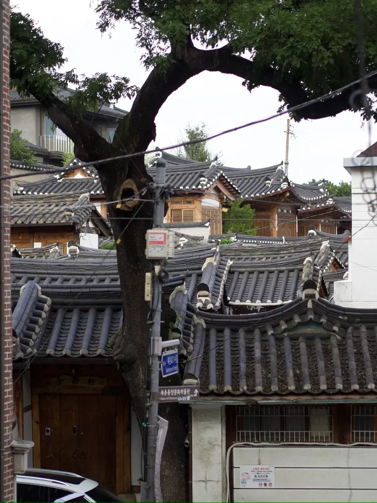 Some old korean houses